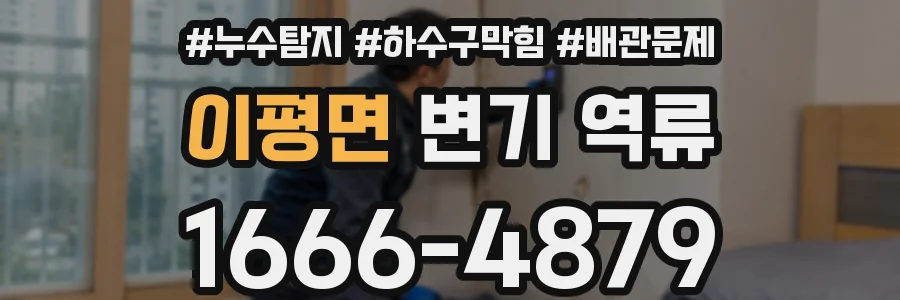 이평면 변기 역류