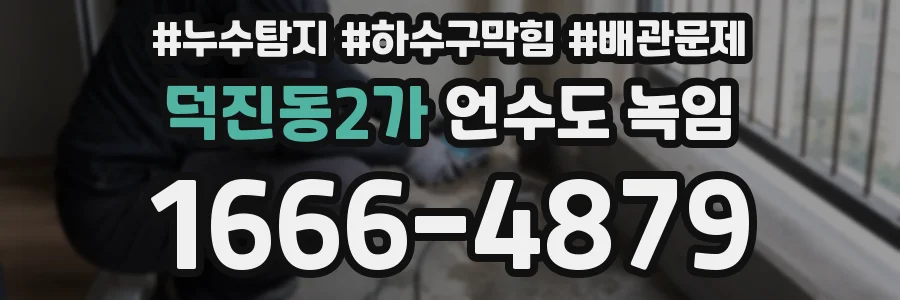 덕진동2가 언수도 녹임