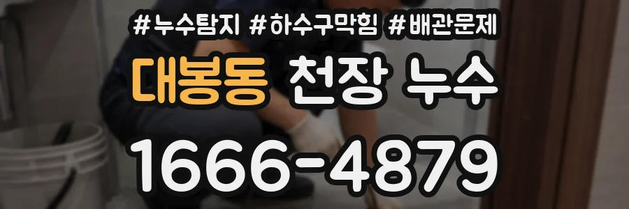 대봉동 천장 누수