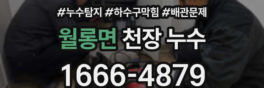 월롱면 천장 누수