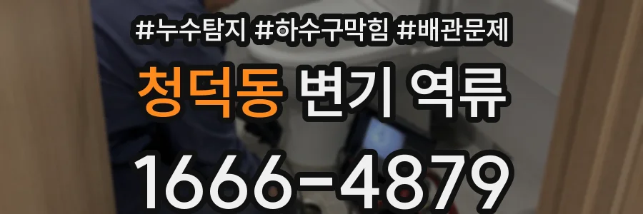 청덕동 변기 역류