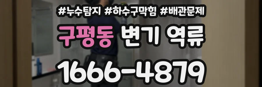 구평동 변기 역류