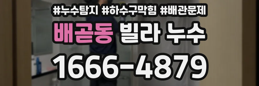 배곧동 빌라 누수