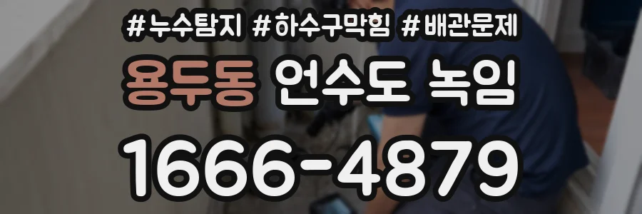 용두동 언수도 녹임