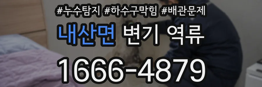 내산면 변기 역류