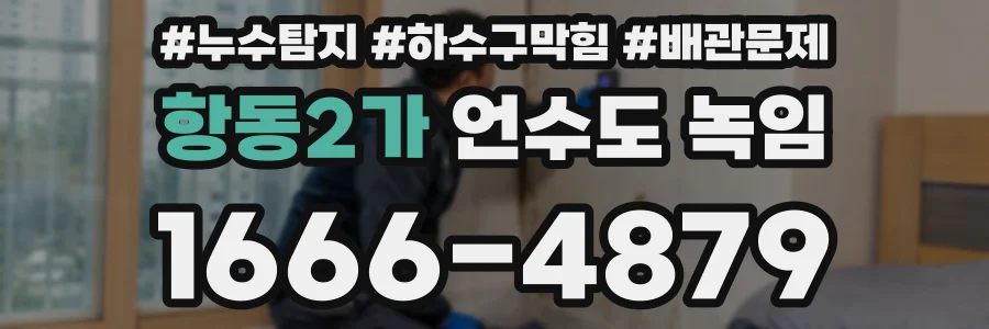 항동2가 언수도 녹임