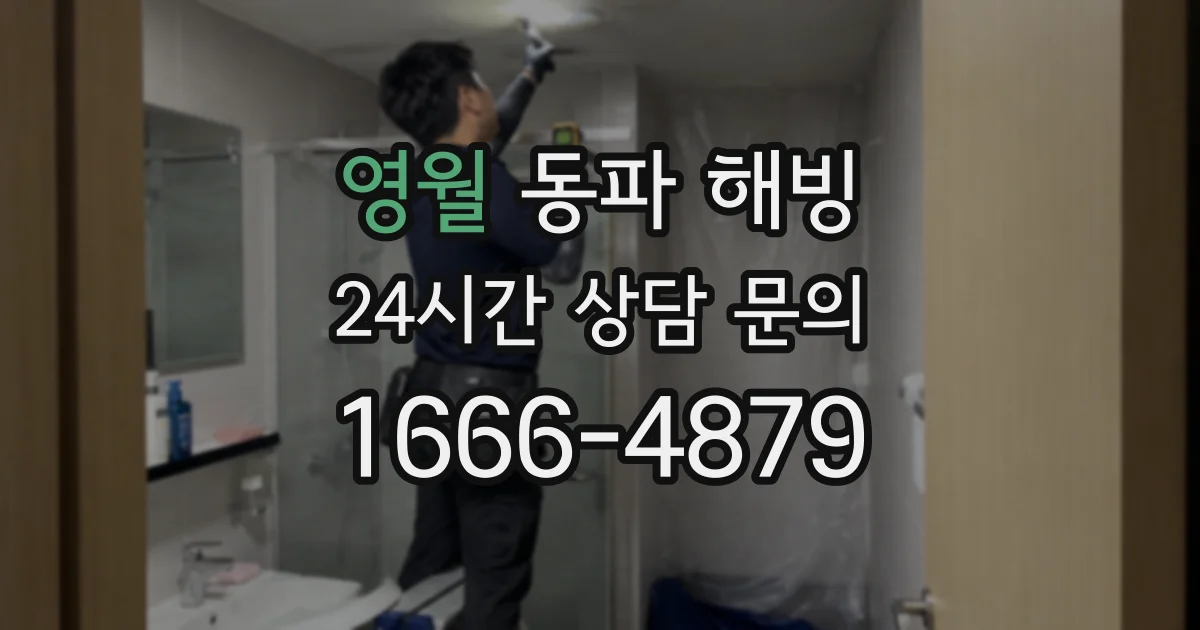 영월 동파 해빙