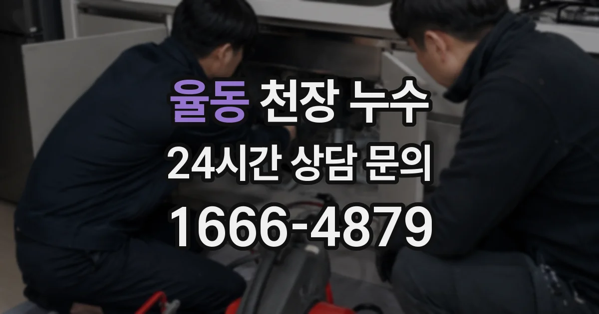 율동 천장 누수
