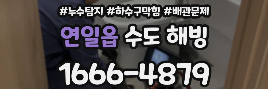 연일읍 수도 해빙