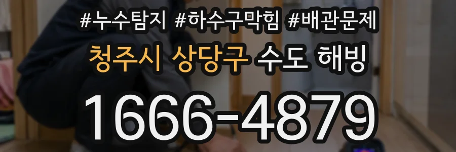청주시 상당구 수도 해빙