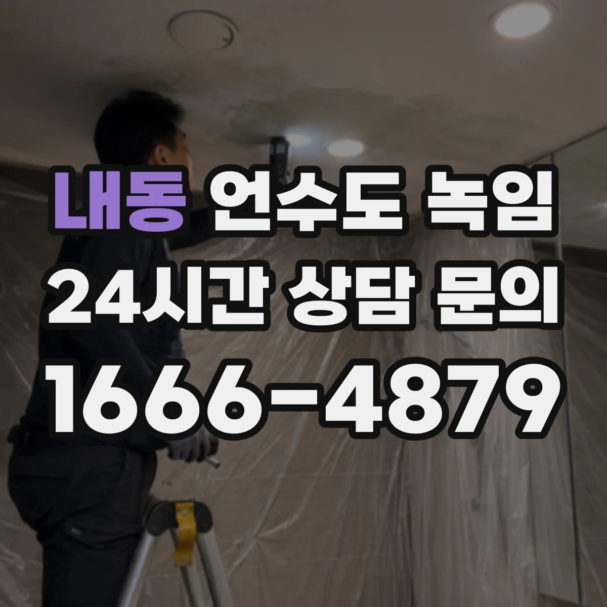 내동 언수도 녹임