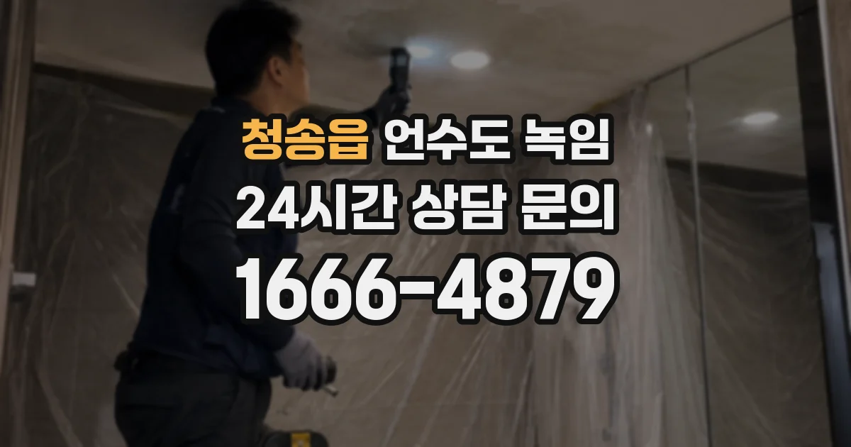 청송읍 언수도 녹임