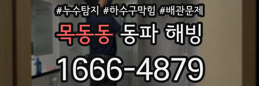 목동동 동파 해빙