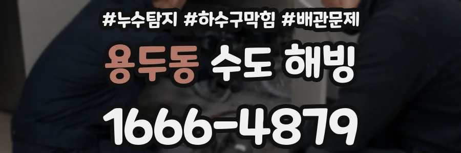 용두동 수도 해빙
