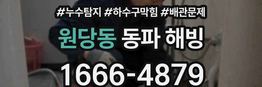 원당동 동파 해빙