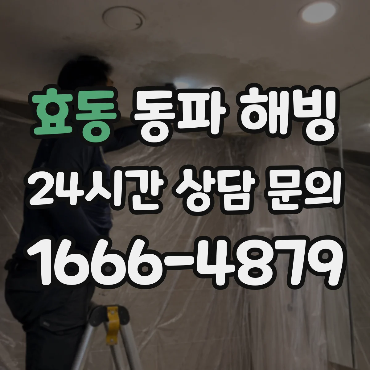 효동 동파 해빙