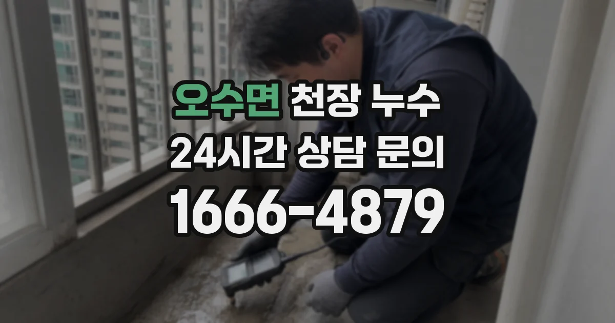오수면 천장 누수