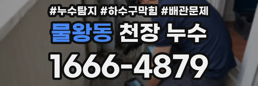 물왕동 천장 누수