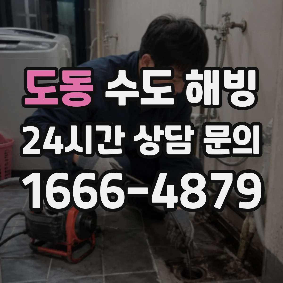 도동 수도 해빙