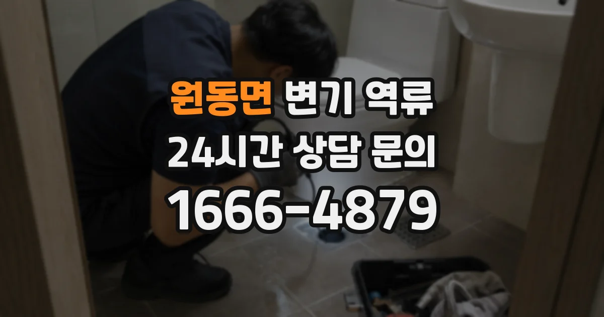원동면 변기 역류