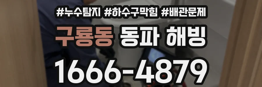 구룡동 동파 해빙