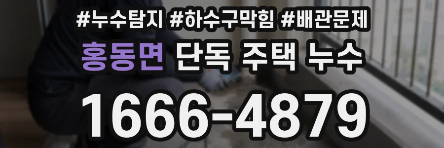 홍동면 단독 주택 누수