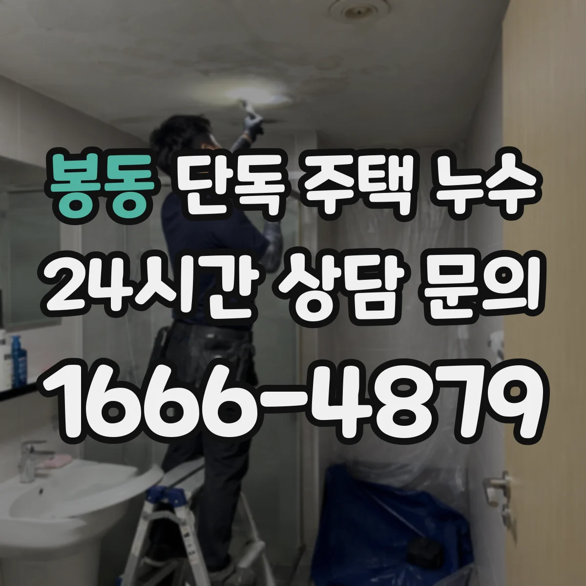 봉동 단독 주택 누수
