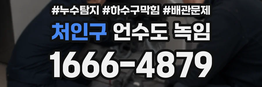처인구 언수도 녹임