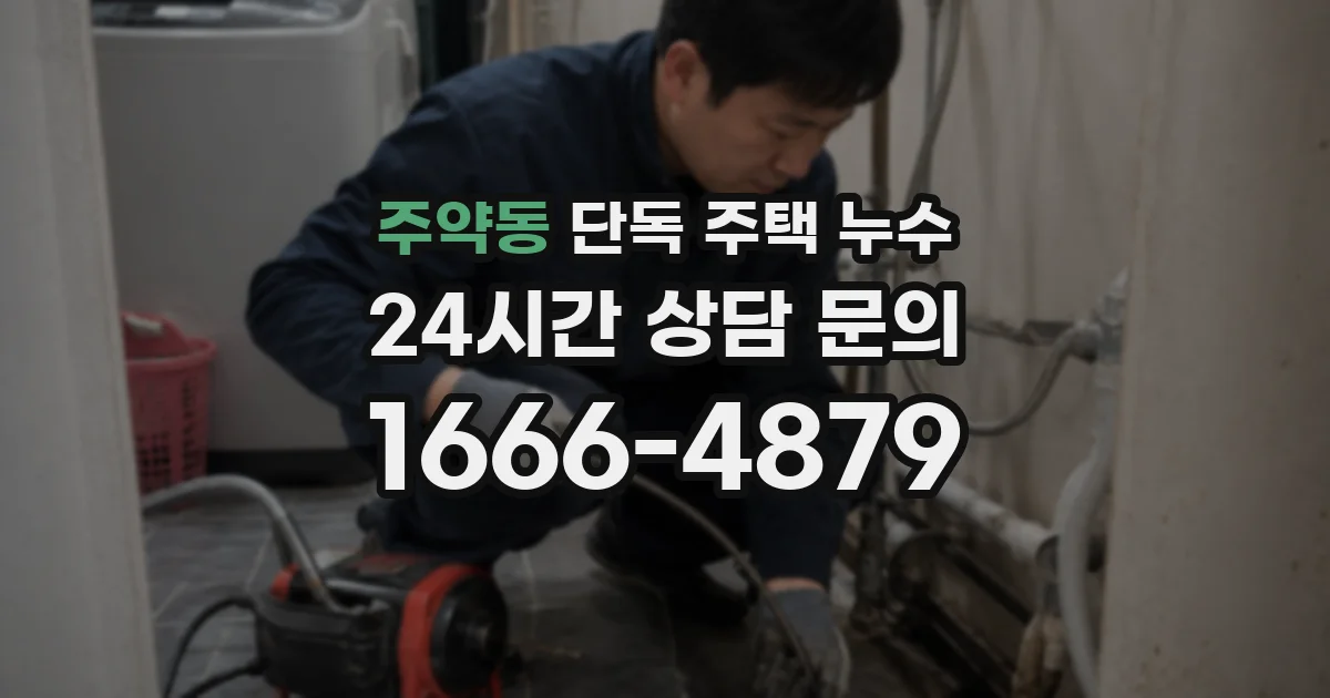 주약동 단독 주택 누수