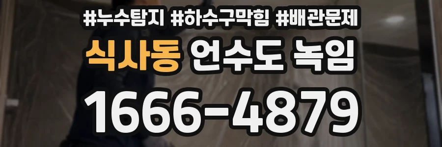 식사동 언수도 녹임