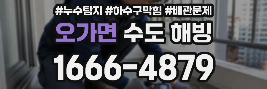 오가면 수도 해빙