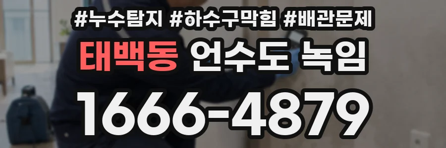 태백동 언수도 녹임