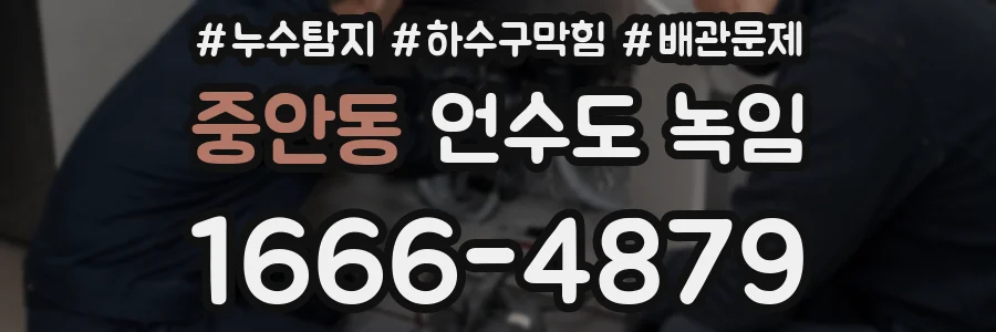 중안동 언수도 녹임