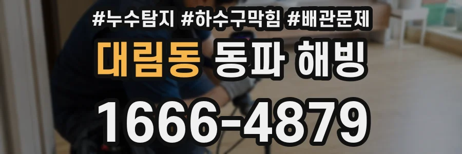 대림동 동파 해빙