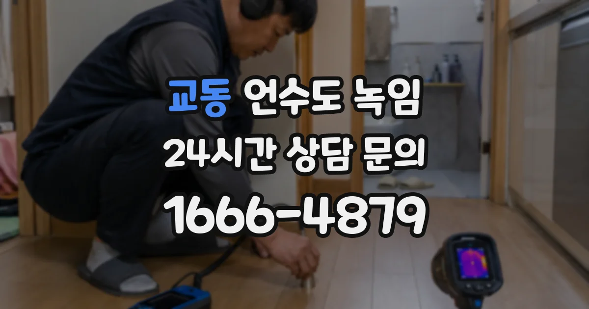 교동 언수도 녹임