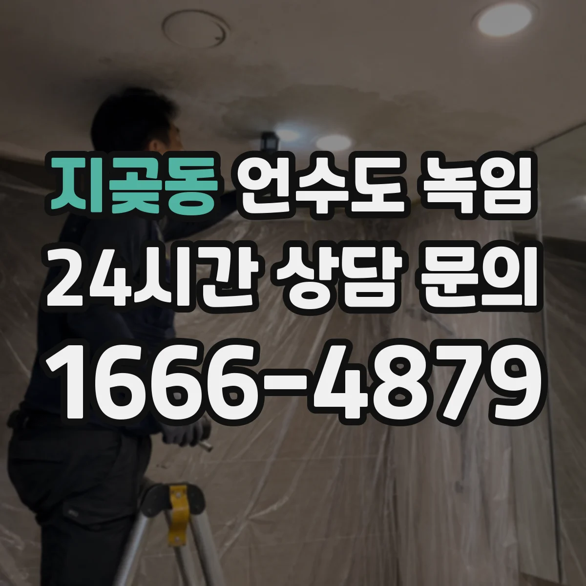 지곶동 언수도 녹임