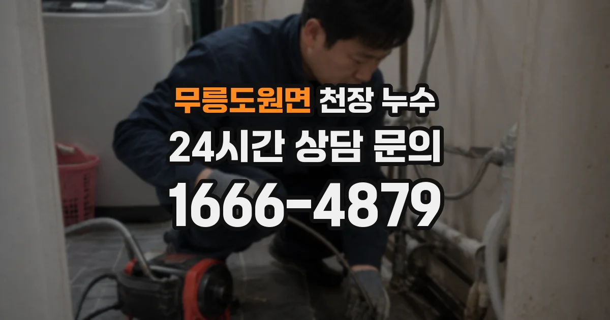 무릉도원면 천장 누수