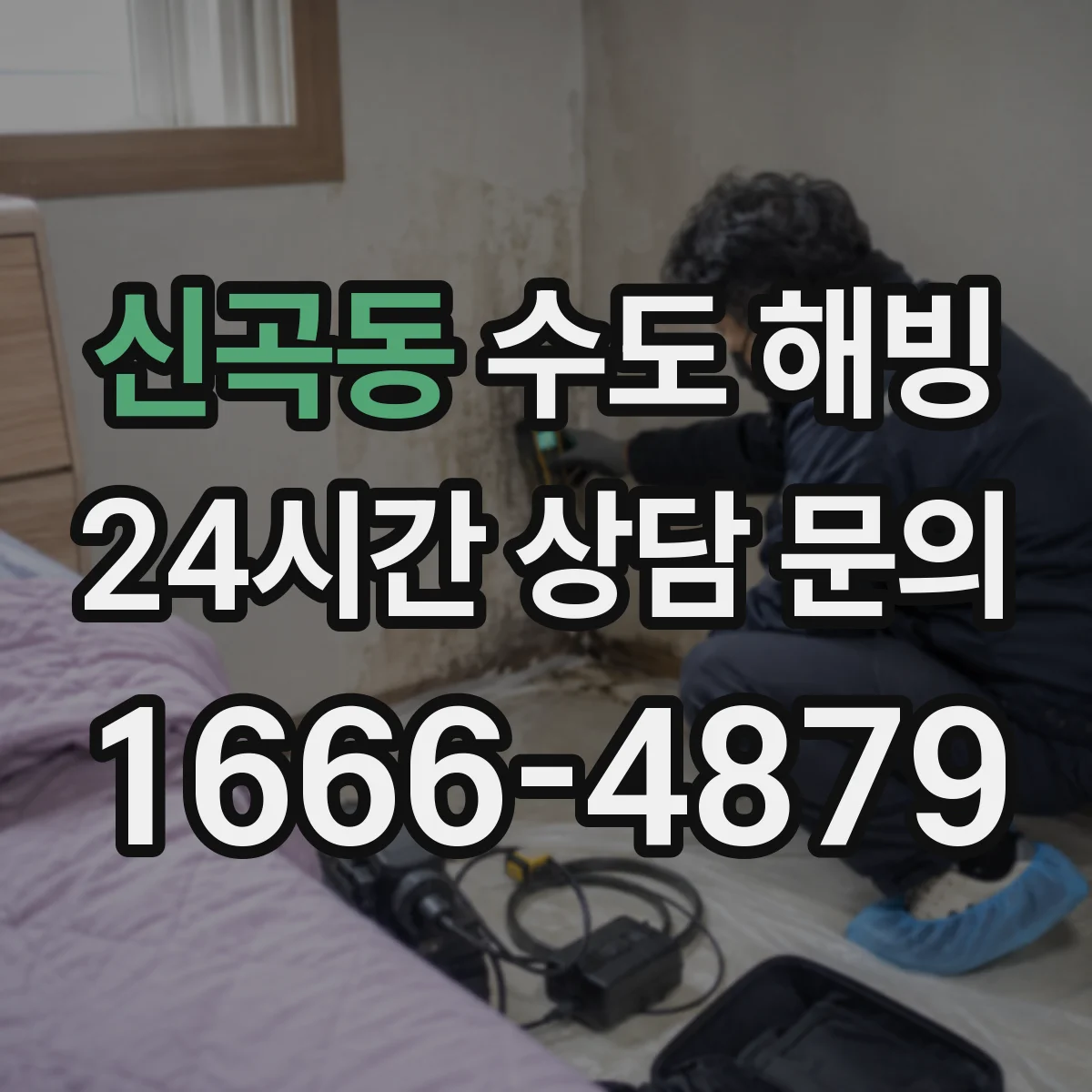 신곡동 수도 해빙