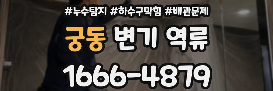 궁동 변기 역류