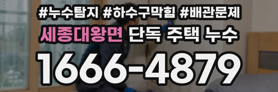 세종대왕면 단독 주택 누수