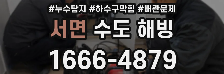 서면 수도 해빙