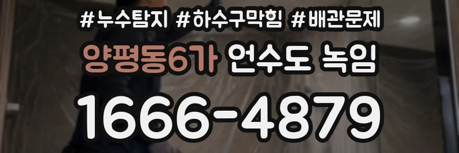 양평동6가 언수도 녹임