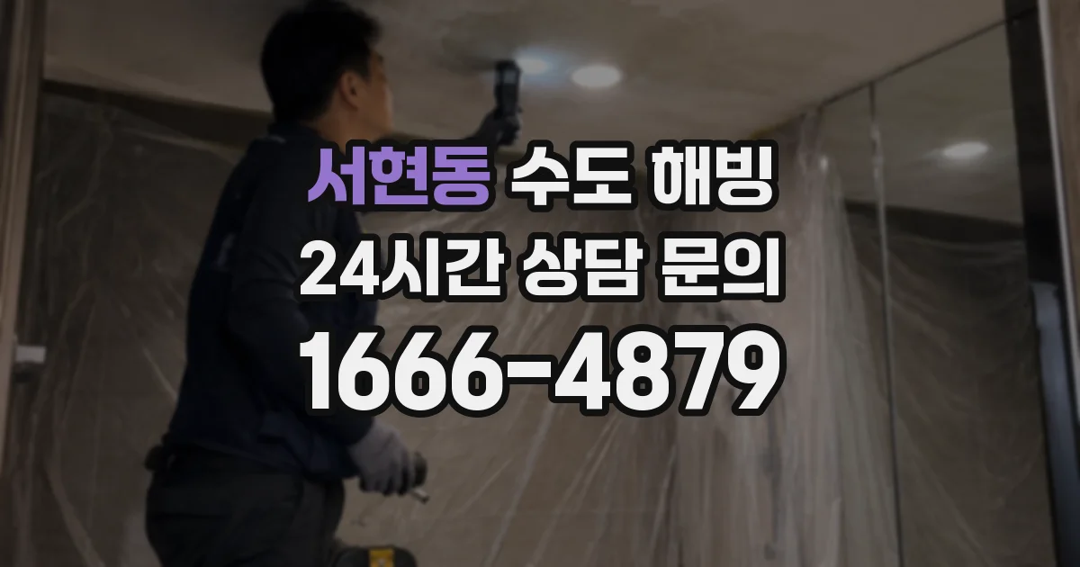 서현동 수도 해빙
