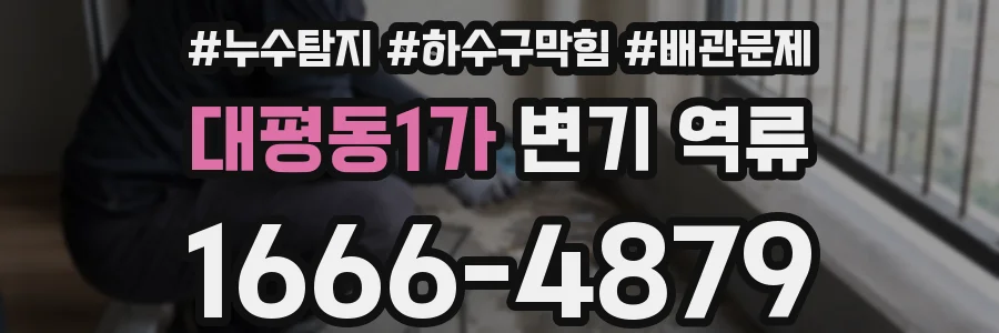 대평동1가 변기 역류