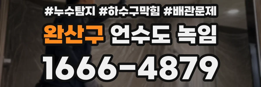 완산구 언수도 녹임