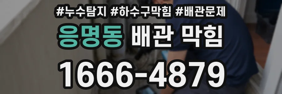 응명동 배관 막힘