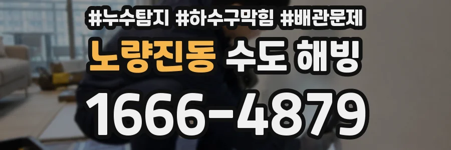 노량진동 수도 해빙