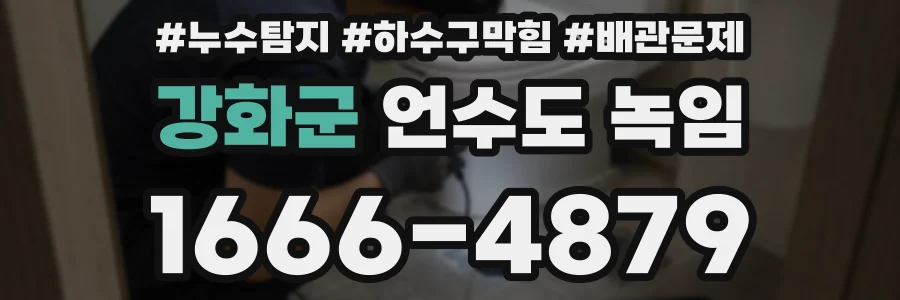 강화군 언수도 녹임