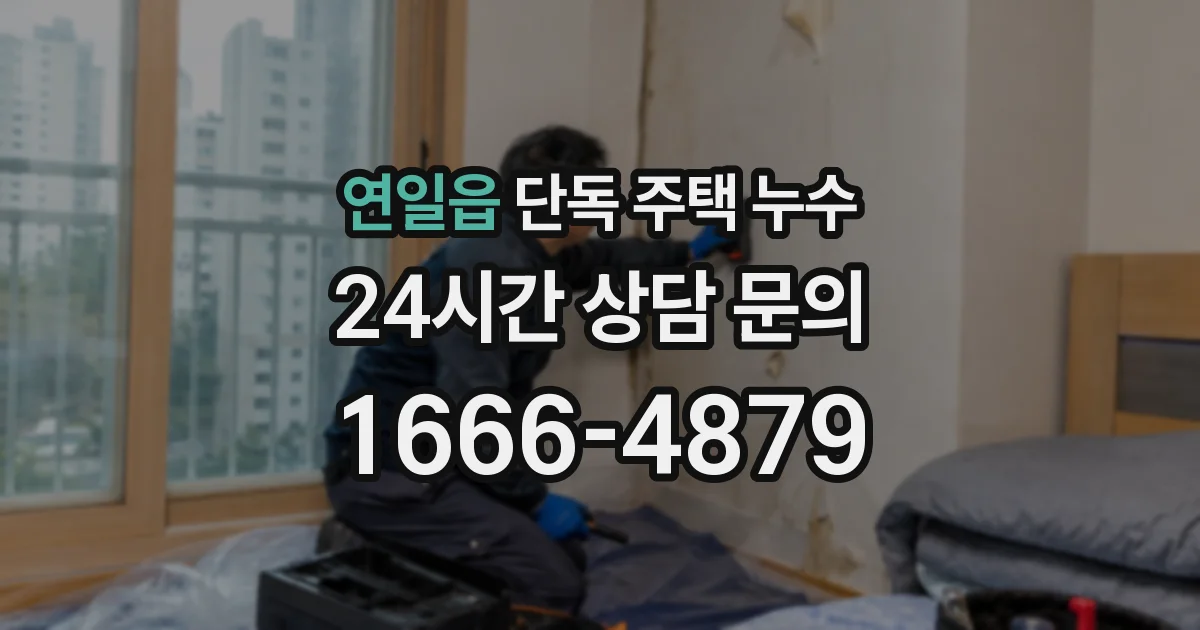 연일읍 단독 주택 누수