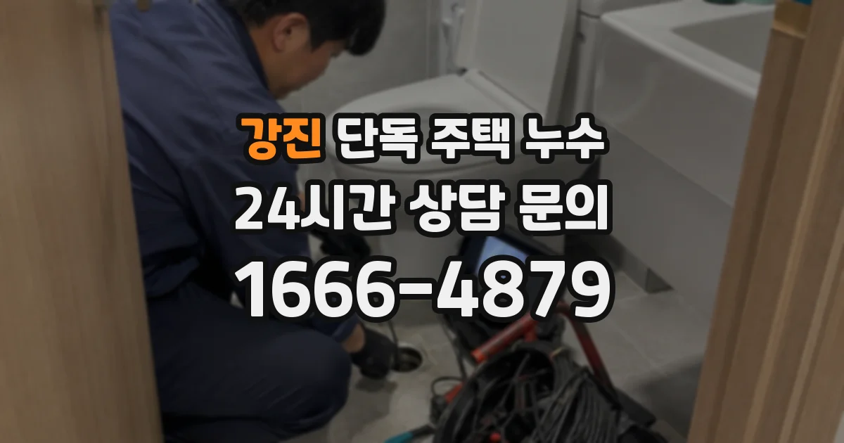 강진 단독 주택 누수
